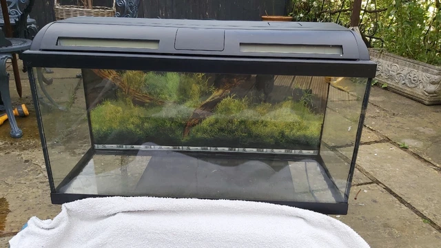 Aquarium/fish tank