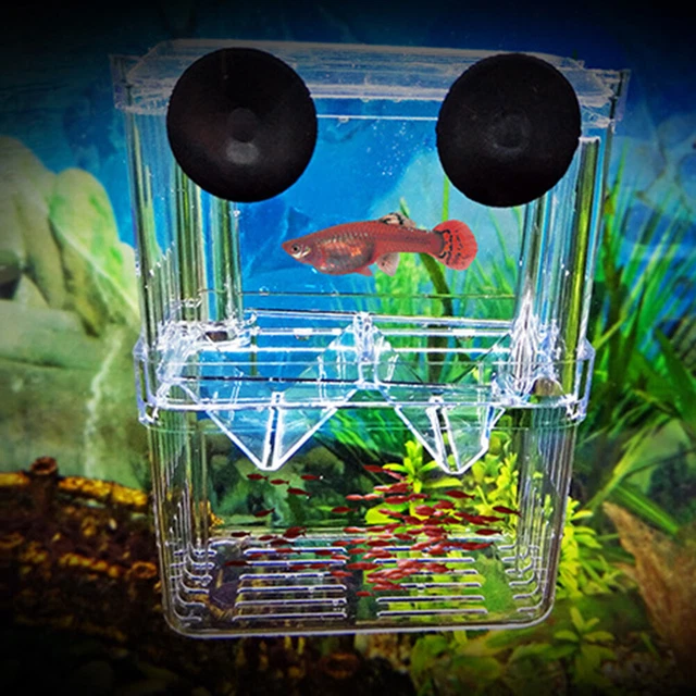 Clear Aquarium Hatchery Trap Fish Breeding Box Tank Fry Breeder Isolation Case