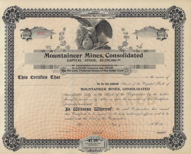 Mountaineer Mines, Consolidated, Nevada County, Kalifornien, 1905