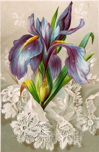 Vintage Iris & Lace Flowers Repro Quilt Block Multi Szs FrEE ShiPPinG WoRld WiDE