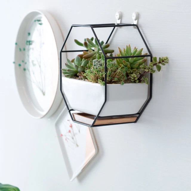 Octagonal Geometric Storage Rack Hanging Wall Glass 10