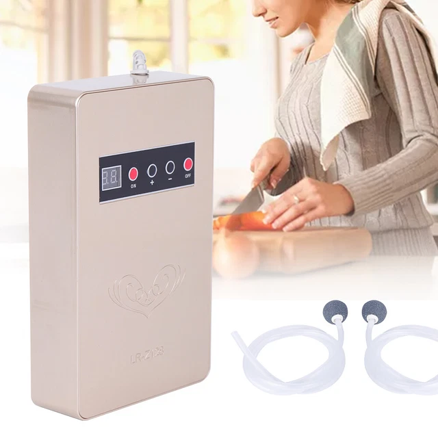 600mg/h Ozone Generator Purificateurs d'air Générateur d'ozone stérilisateur DE