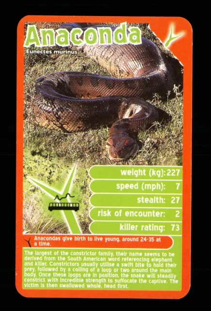 1 x info card deadliest predator Anaconda snake - R114