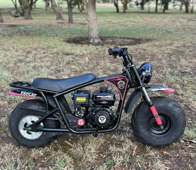 Motorbike, FatCat Offroad Fat Wheel Mini Bike, all terrain motorbike. Red