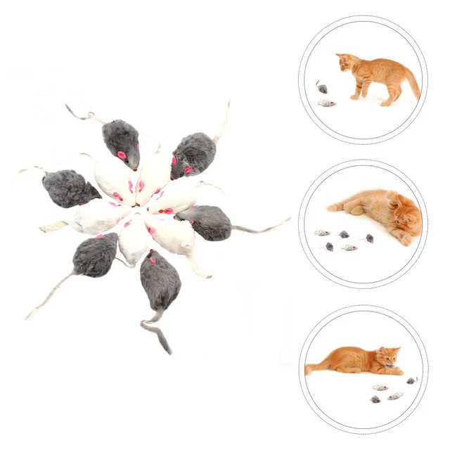 12 un. juguetes para jugar gatos juguete movimiento gatito juguete cachorro juguetes para masticar