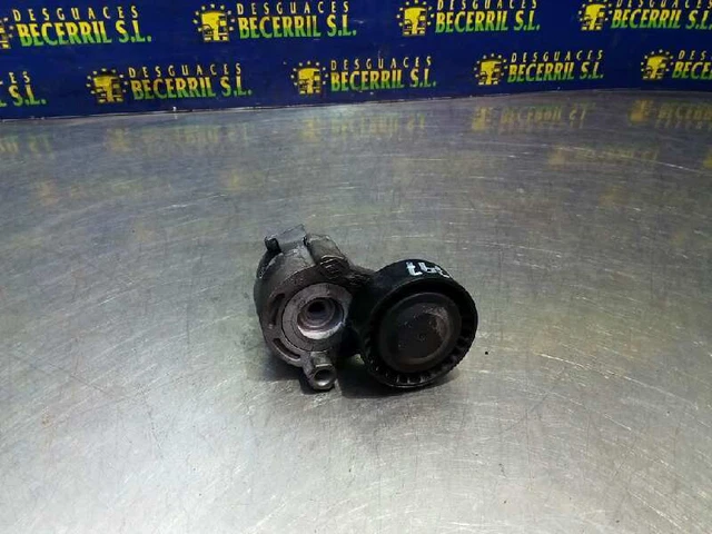 11955BN701 galet tendeur pour RENAULT SCENIC II 1.5 DCI (JM0F) 2003 1139444