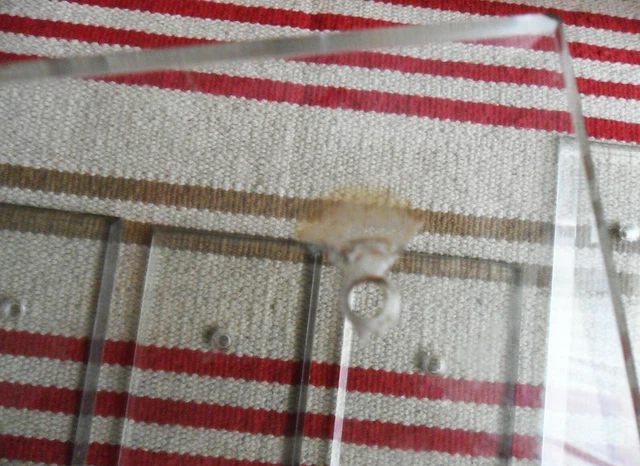 Lot 5 Vintage Antique French Salvage Beveled Clear Glass Finger DOOR Push PLATES 3