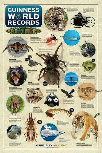 Guinness World Records: Creatures - Maxi Poster 61cm x 91.5cm nuevo y sellado