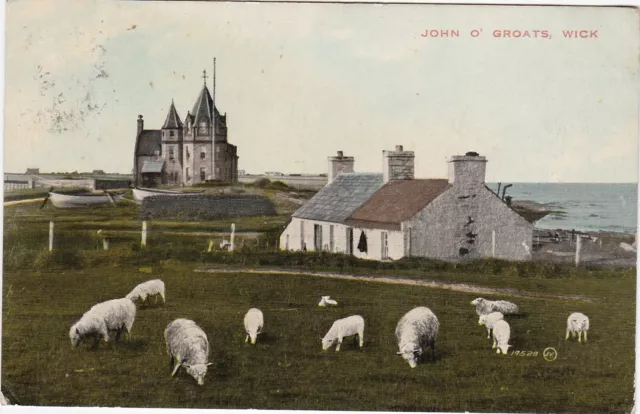 General View & Sheep, JOHN O' GROATS, Caithness