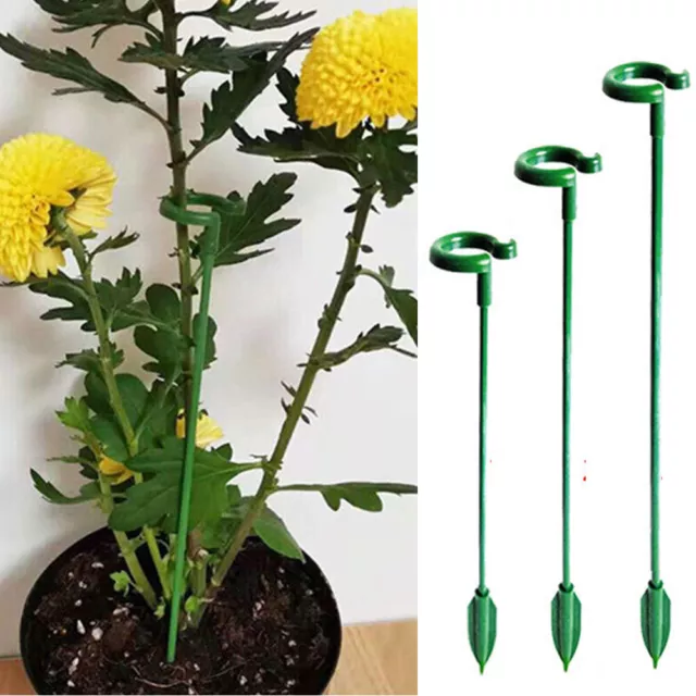 Ecostake – Piquets De Jardin En Fibre De Verre Pour Plantes Tomate Grimpante 》