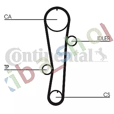 Timing Set Belt + Pulley + Water Pump Fits For Hyundai Accent Accent I Accent