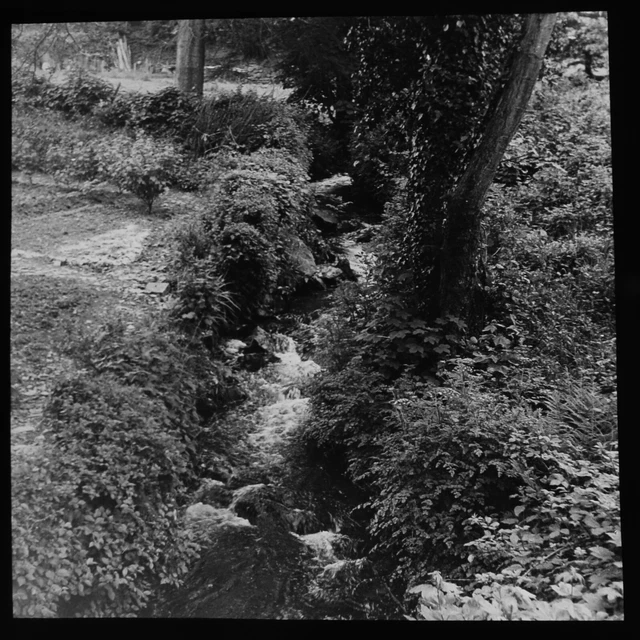 A STREAM NEAR TAVISTOCK DEVON C1952 VINTAGE Magic Lantern Slide PHOTO