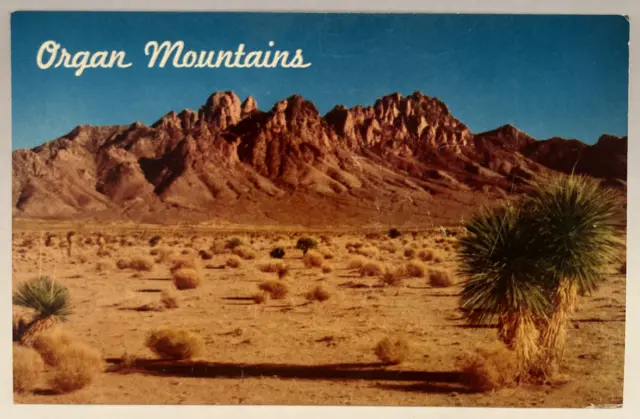 Organ Mountains, Needle Mountains, El Paso TX, Las Cruces NM, Vintage Postcard