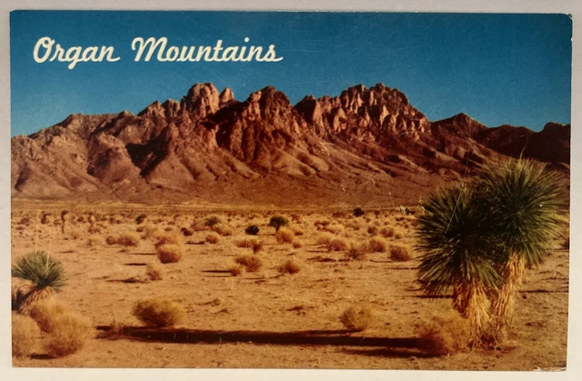 Organ Mountains, Needle Mountains, El Paso TX, Las Cruces NM, Vintage Postcard