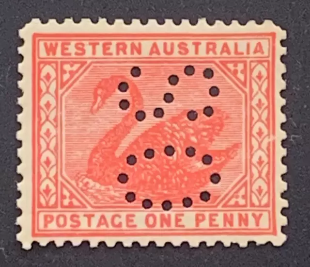 Western Australia 1905 1d ROSE-RED SWAN ONE PENNY Stamp SML Punctured OS - #51