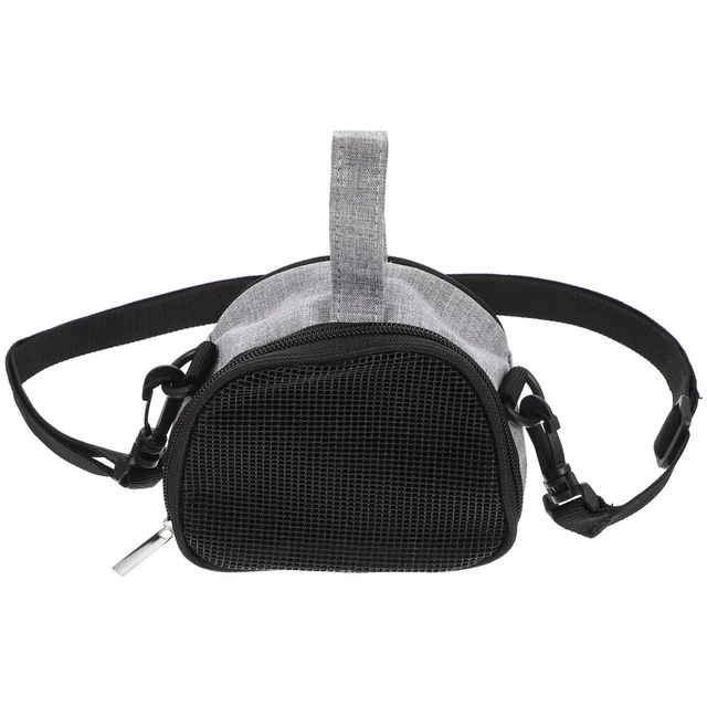 Borsa fuori criceto scoiattolo borsa gabbia accessori drago barbuto una spalla