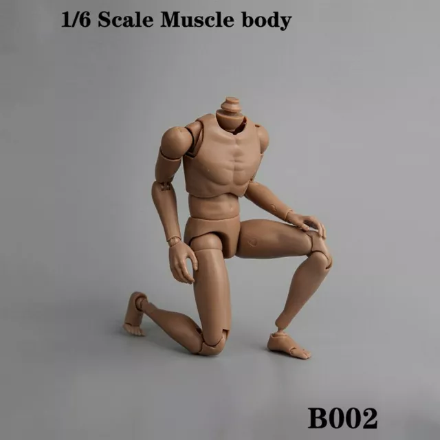 1 6 SCALE 12