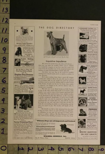 1933  Dog Canine Irish Terrier Breeder Photo Ad Ru33