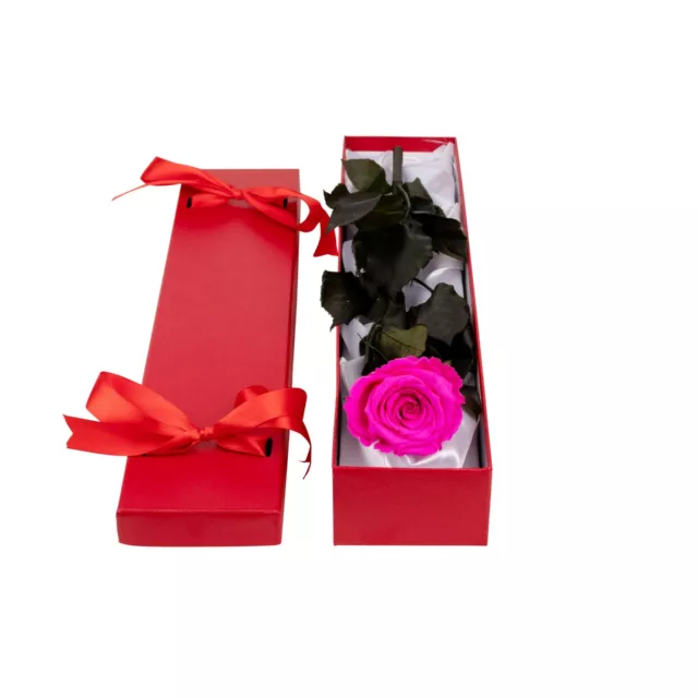 Mothers day Rose Roses Eternity Rose 1-2 year Rose in PERSONALISED satin box