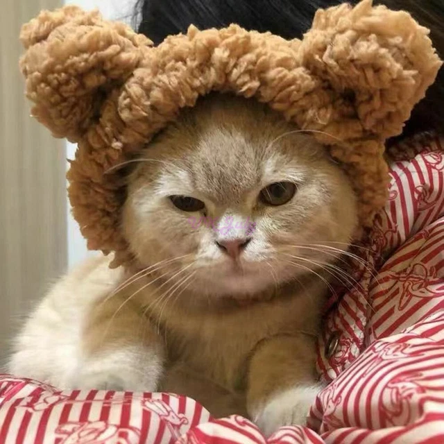 Cappelli copricapo gatto cane copricapo compleanno copricapo peluche animali domestici accesso NUOVO
