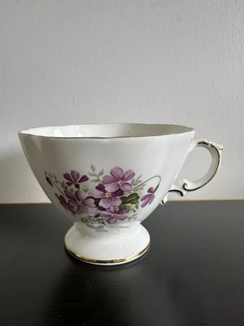 Beautiful Vintage Fine Bone China Tea Cup Oakley England