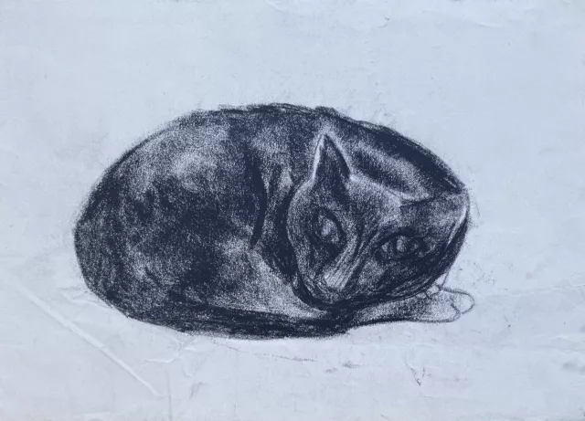 Liegende schwarze Katze #5 Kohlezeichnung Tierporträt Vera Stoss Hamburg
