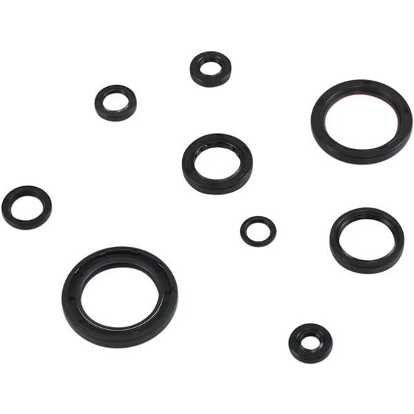 Moose Oil Seal Set - 0935-1027