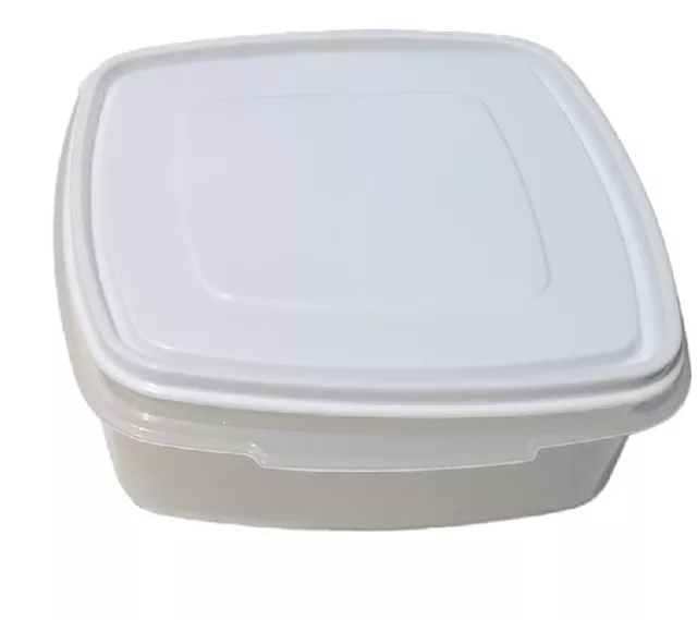 Auction Ohio  2 Mainstays Snaplock 50 Quart Clear Storage Containers with  Lids (Used)