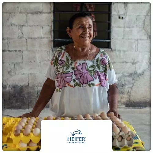 $50 Charitable Donation For: SHARE OF WOMEN’S BUSINESS TOOLKIT