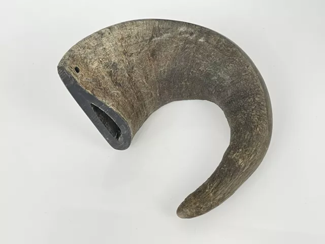 Ram Horn exotic Outdoors Hunting Wildlife Decoration Country Farmhouse Decor