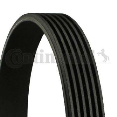 Conti Contitech conti TECH zeppa NERVATURE CINGHIA 5pk2020 