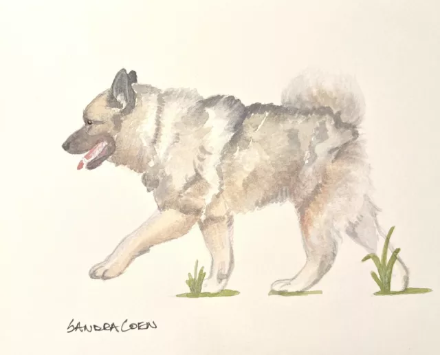 Norwegian Elkhound Original Watercolor by Sandra Coen Troting dog