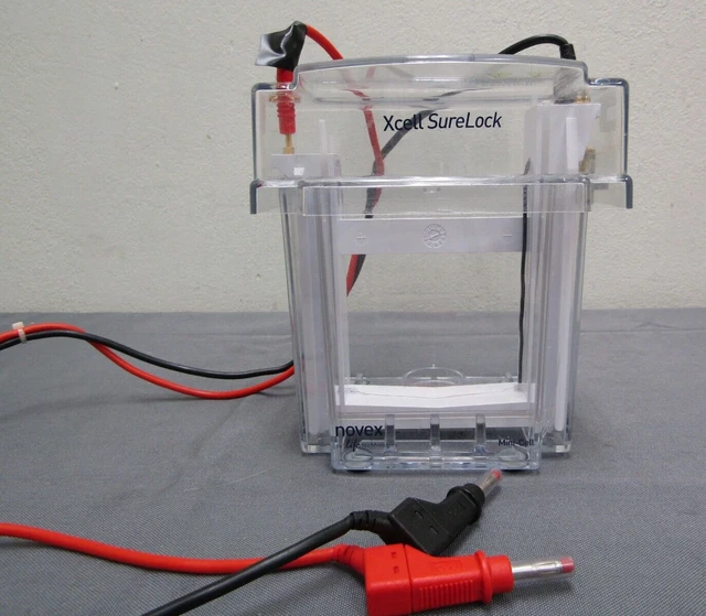 Invitrogen XCell SureLock Mini Cell Electrophoresis System