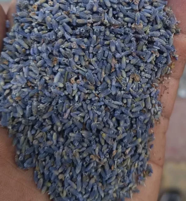 Dried Lavender Bud Flowers