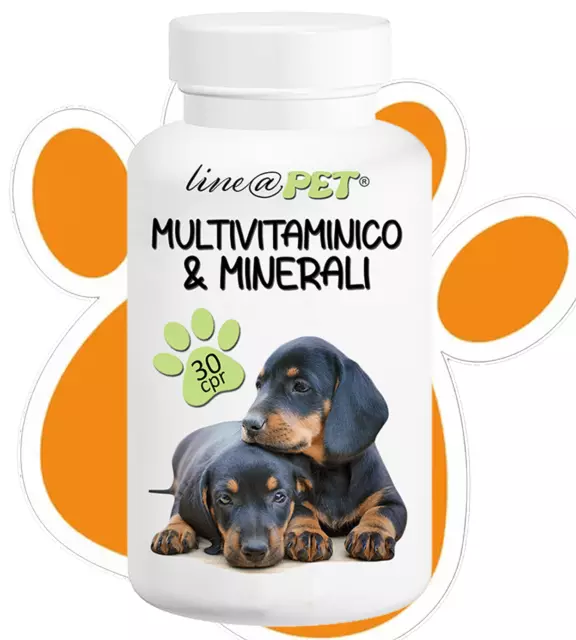 Multivitamines Et Minéraux Line @ Animal de Compagnie pour Chiens Avec 22