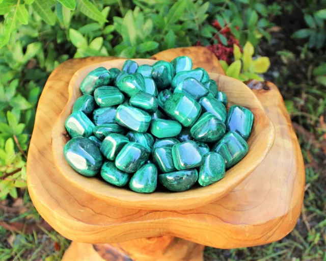 Bulk 1/4 lb Malachite Tumbled Stone Crystal Healing Gemstone (1/4 Pound, 4 oz) 3