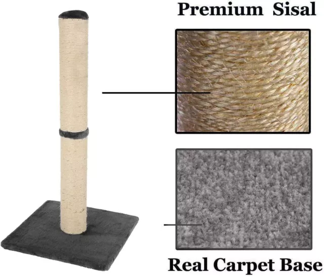 Cat Scratching Post 80 cm, Natural Sisal Pole and Carpet Covered 31 Inch Tall