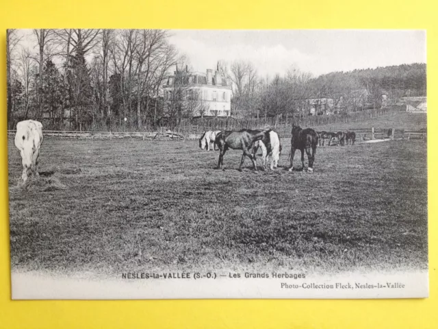 cpa FRANCE 95 - NESLES la VALLEY Les GRANDS HERBAGES Chevaux Haras Château