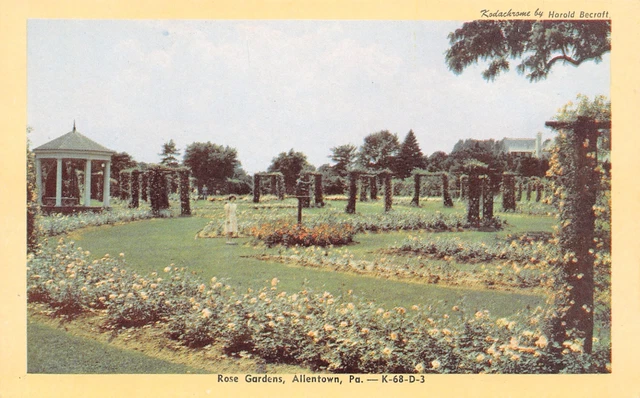 Allentown PA Ivy-Covered Posts~Summer House in Yellow Rose Gardens~Dexter 1940s