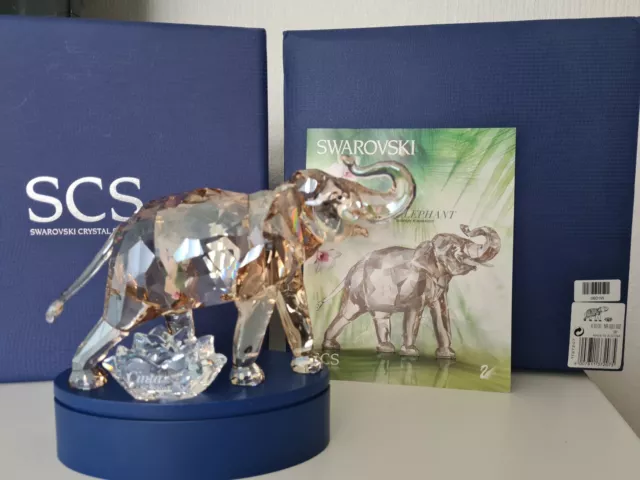 Swarovski Scs 2013 ""Cinta Der Elefant"" Kostenloser Uk Post Mit Jetzt Kaufen