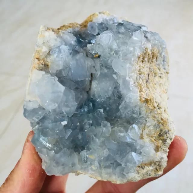 688G Natural Blue Celestite Geode Quartz Crystal Mineral Specimen  N48