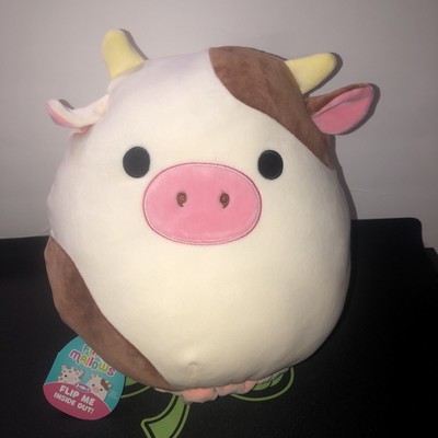 ronnie 12 inch squishmallow