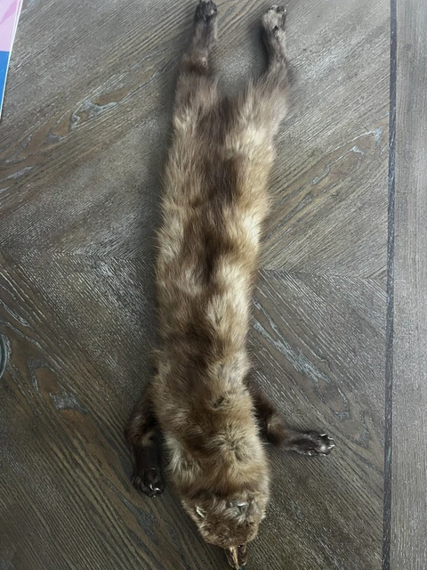 Vintage Full Body Real Mink Fur Stole Scarf Collar Shoulder Wrap Glam Clothing