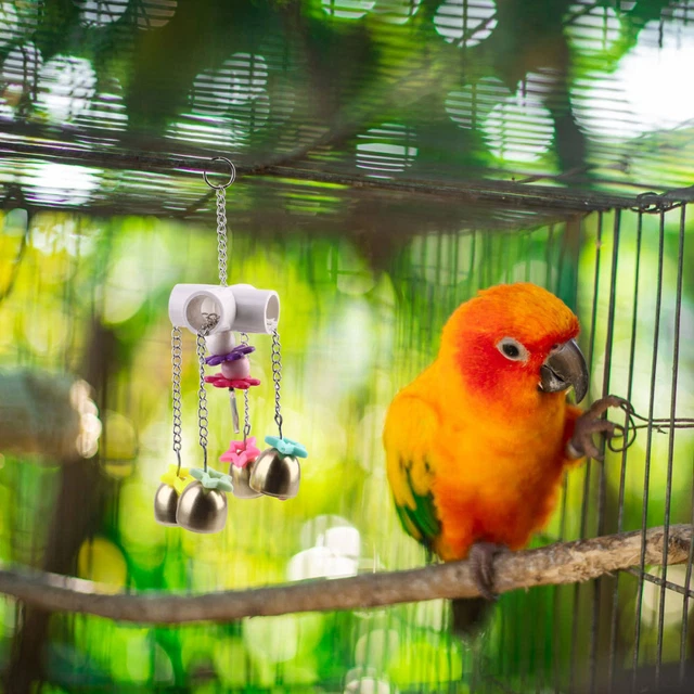 1pc Vogel Käfig Spielzeug Papagei Molaren Spielzeug 5