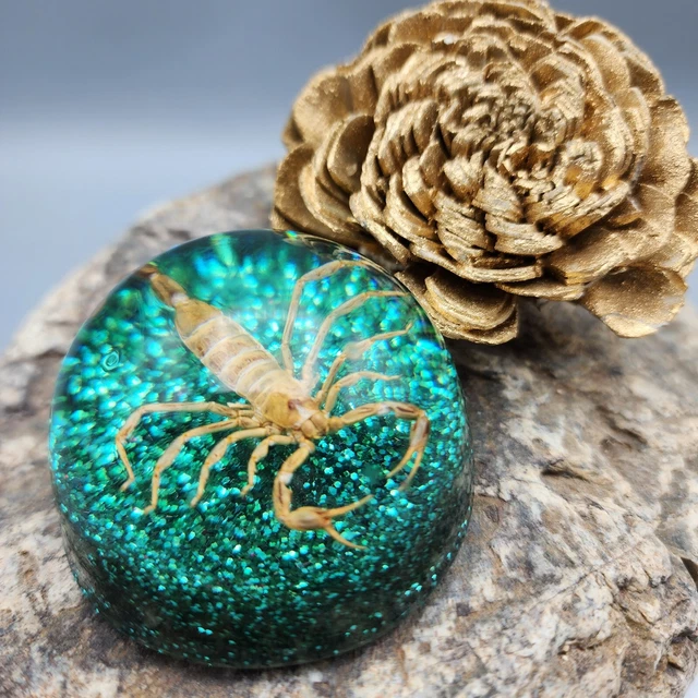 Scorpion Taxidermy Paperweight 2" Goth Cmas Lt Green Glitter Halloween Creepy v6