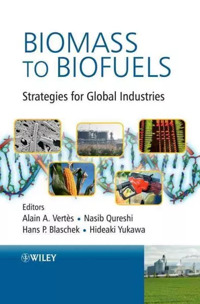 Biomass to Biofuels : Strategies for Global Industries, Hardcover by Vertes, ...