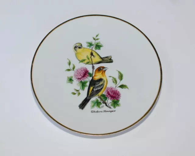 Vintage Bereuther Waldsassen Bavaria Germany Bird Plate - Western Tanager #144