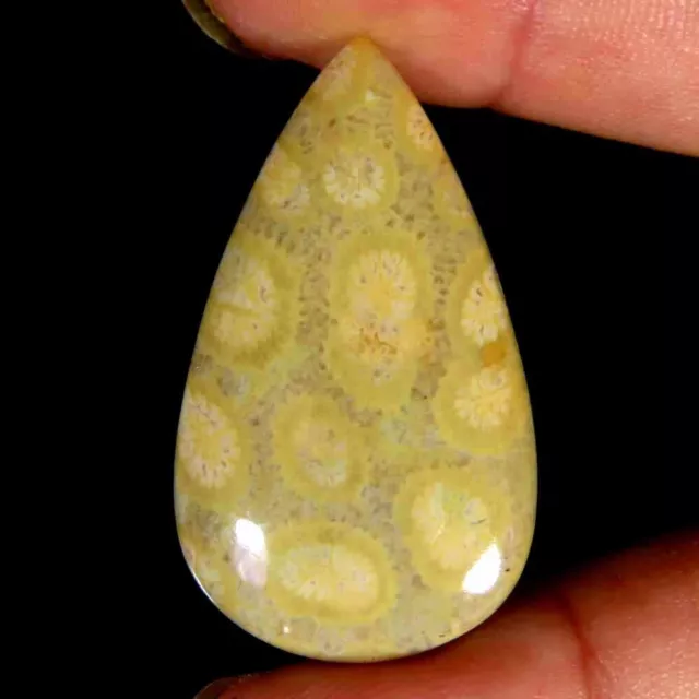 29.60Cts 100%Natural Super Fossil Coral Pear Cabochon 20x36x5mm Losse Gemstone