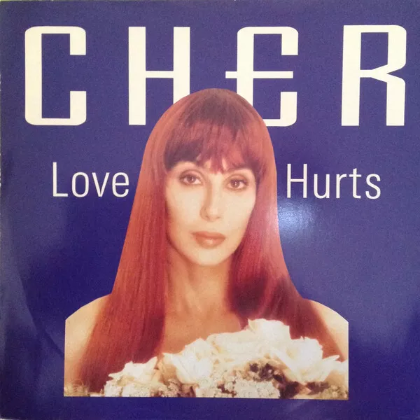 Cher - Love Hurts - Used Vinyl Record 12 - J5628z