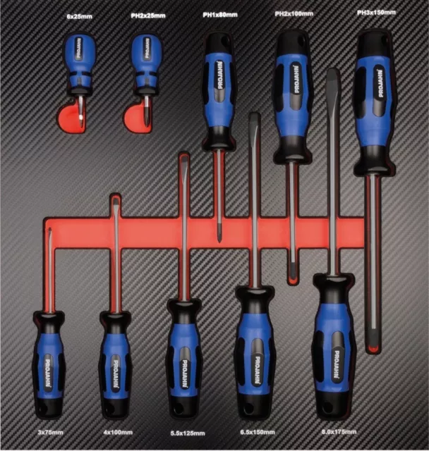Projahn PROFORM-Werkstattwageneinlage Schraubendreher Kreuzschlitz PH + Schlitz